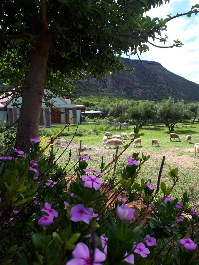 Baviaanskloof Landhuis Studtis 외부 사진